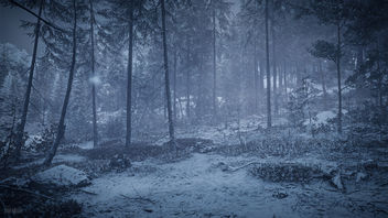 TheHunter: Call of the Wild / Stay Frosty - Free image #454179